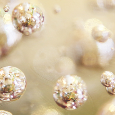 AV_POLYPHENOLS_DE_VANILLE_500x500